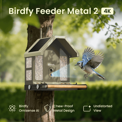 Feeder Metal 2 4K - Smart Bird Feeder with Camera