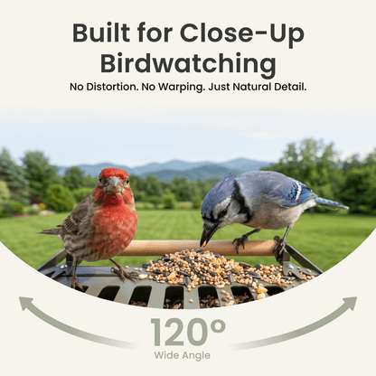 Feeder Metal 2 4K - Smart Bird Feeder with Camera