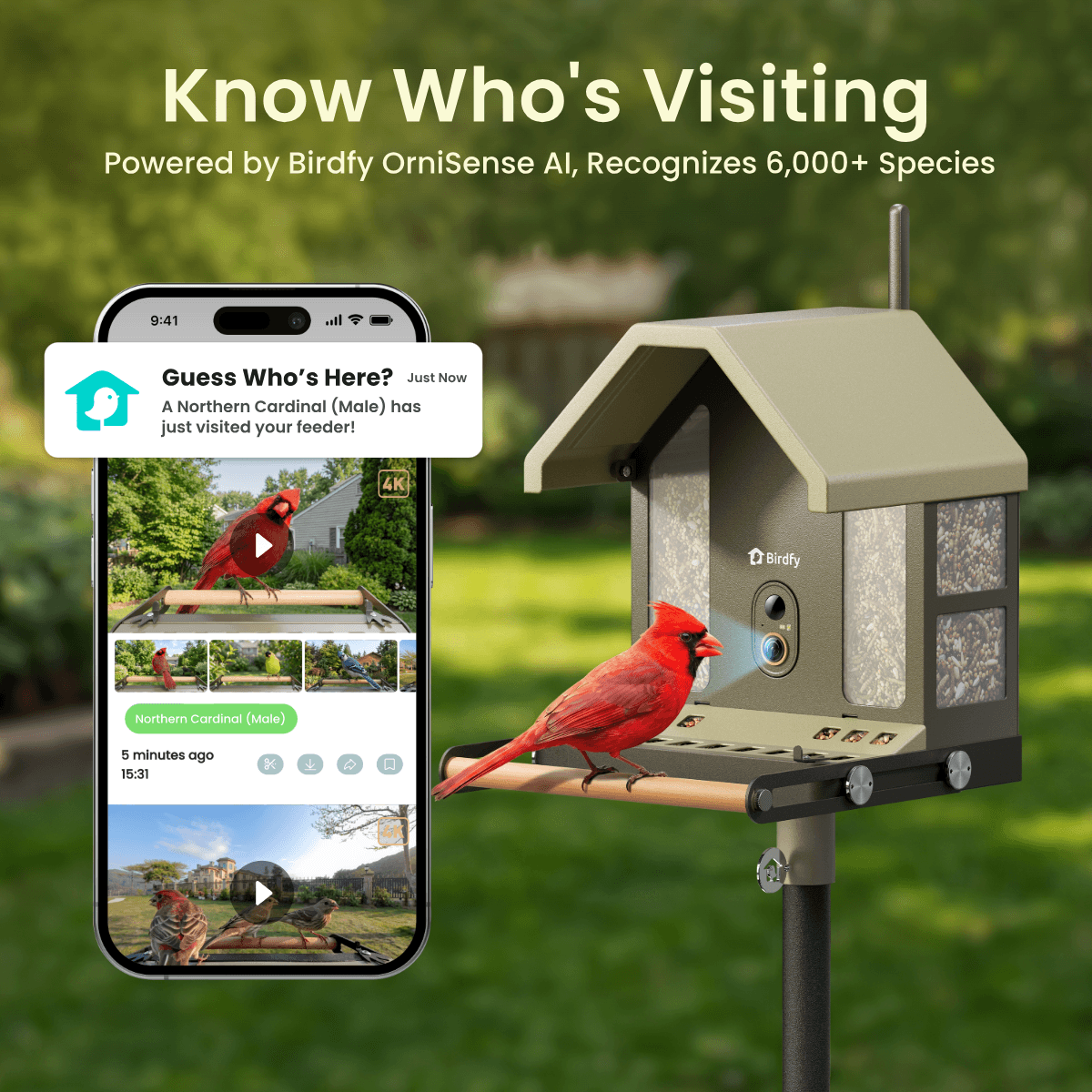 Feeder Metal 2 4K - Smart Bird Feeder with Camera