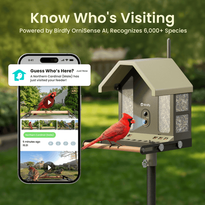 Feeder Metal 2 4K - Smart Bird Feeder with Camera