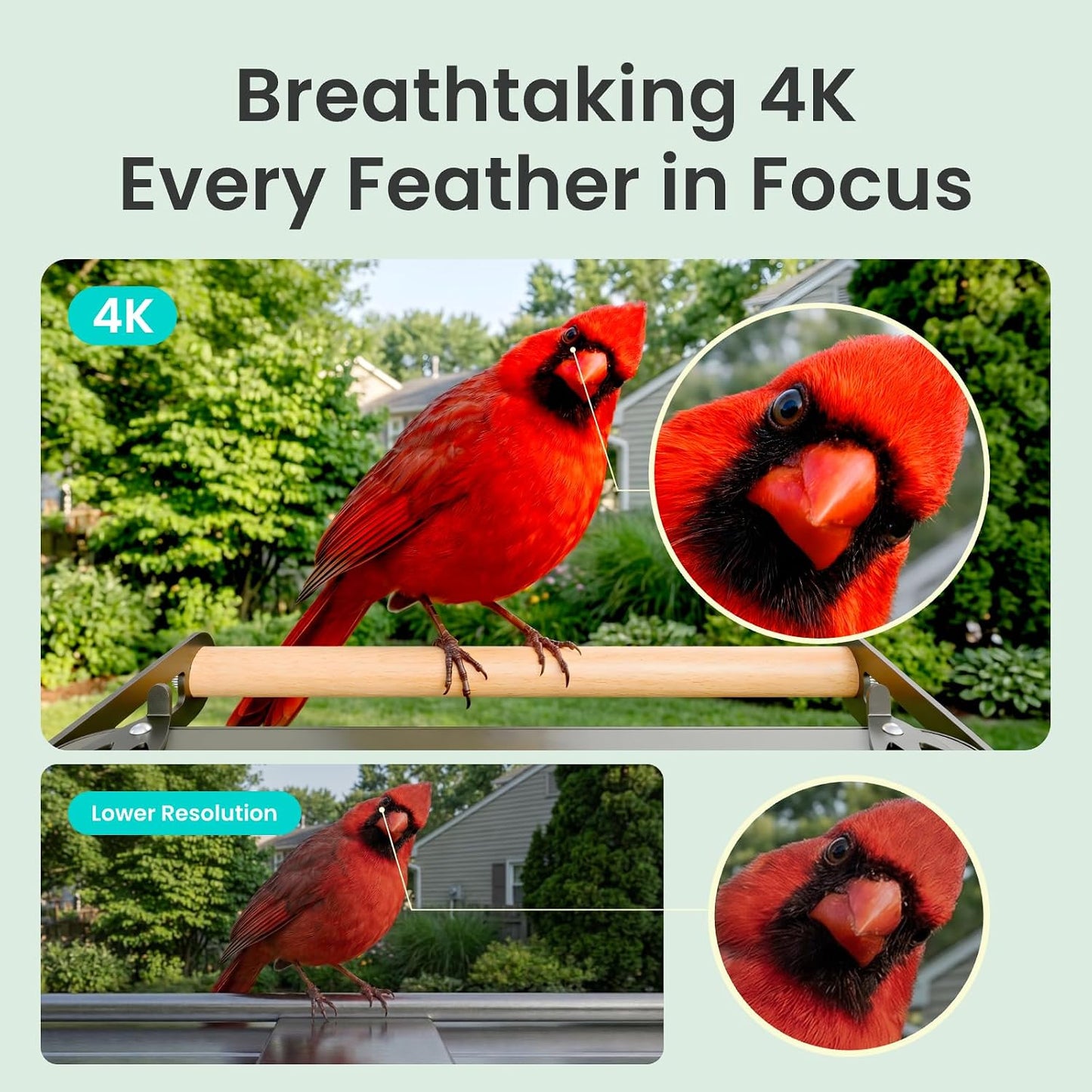 Smart Bird Feeder with 4K AI Camera, Dual-Band 2.4/5Ghz Wi-Fi | 4K HDR Video, Lifetime Free AI Bird ID, Solar Powered, Full-Metal, Easy Setup & Sharing 20+ Family, Bird Watching Gift