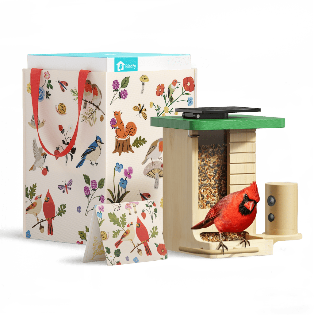 Birdfeeder