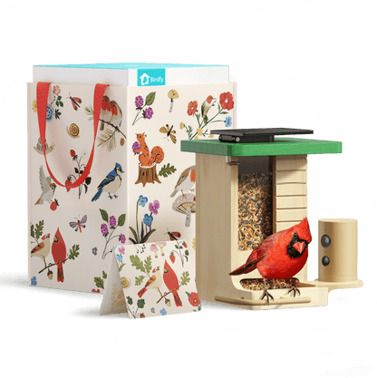 Birdfeeder