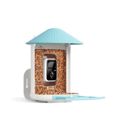 Birdfeeder