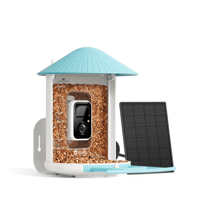 Birdfeeder