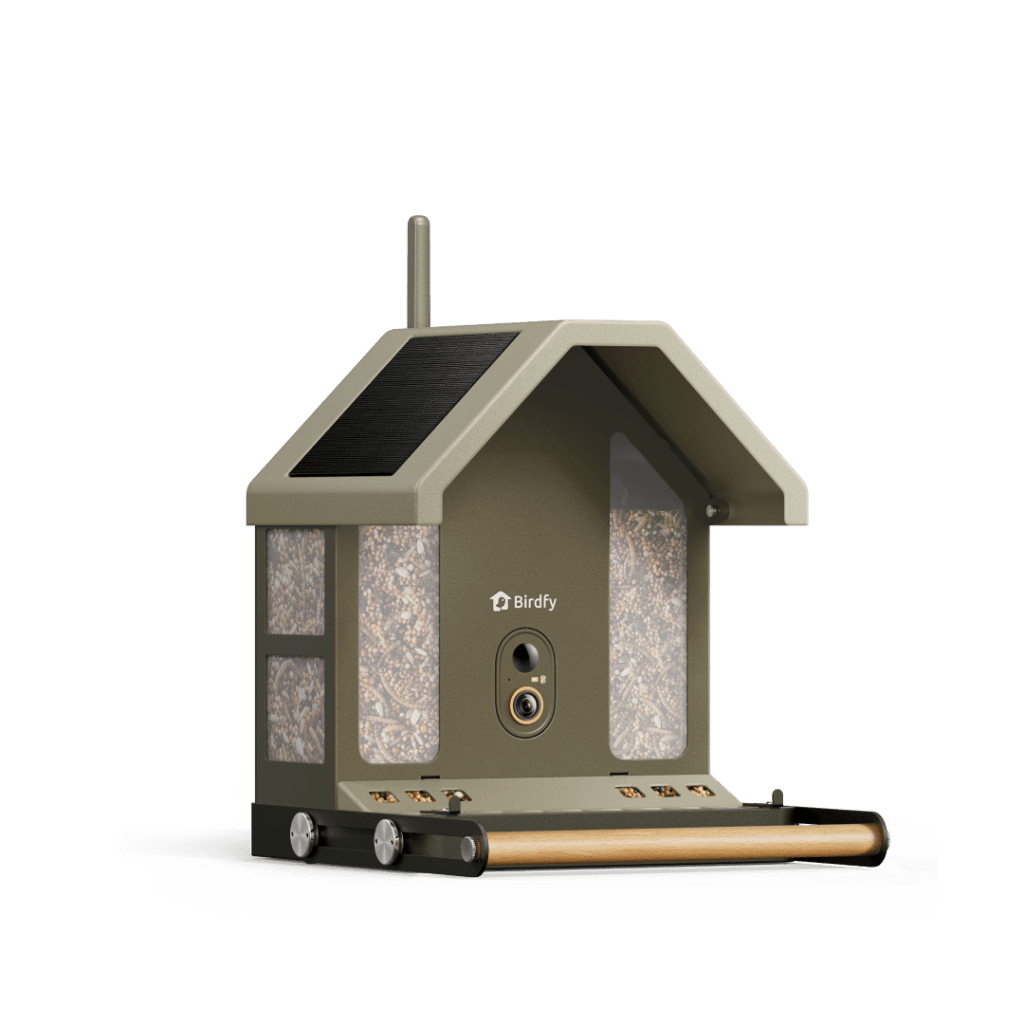 Birdfeeder