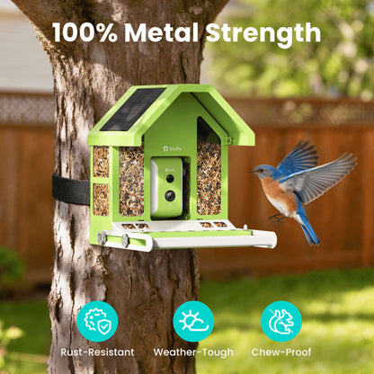 Birdfeeder