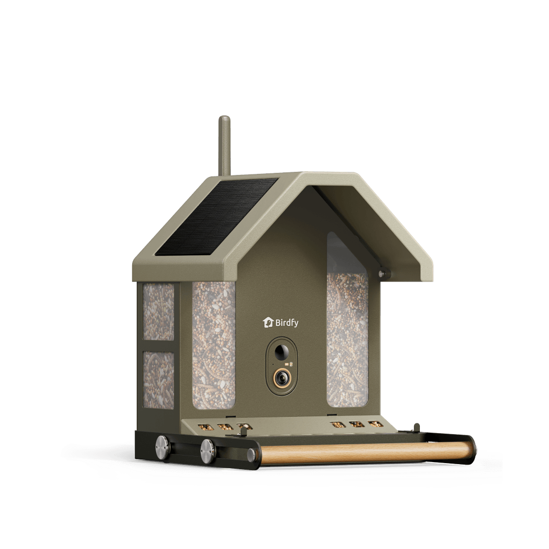 Feeder Metal 2 4K - Smart Bird Feeder with Camera